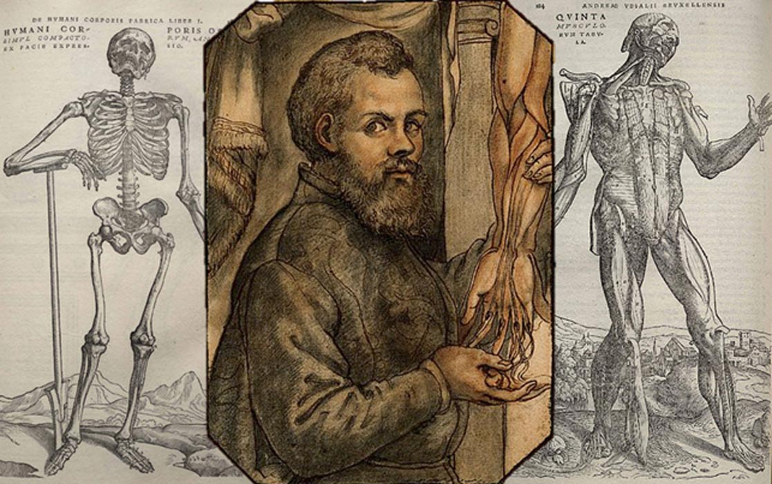 16th century Flemish Anatomist, Physician and Author **Andreas Vesallius**