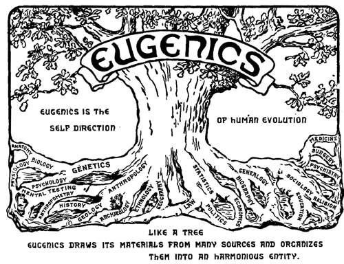 A diagram of the basic principles of Eugenics